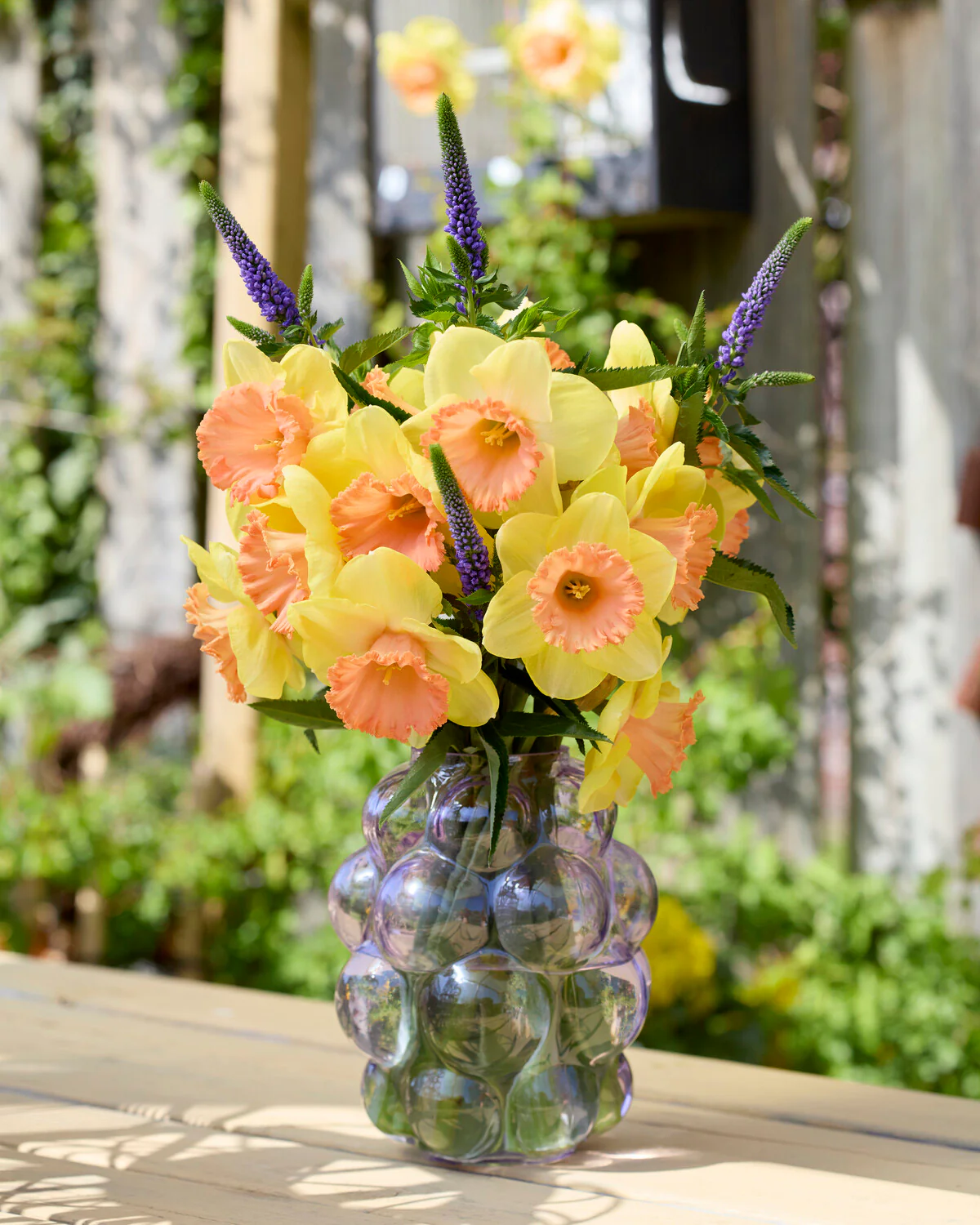 Narcissus 'Colour Magic' - Image 3